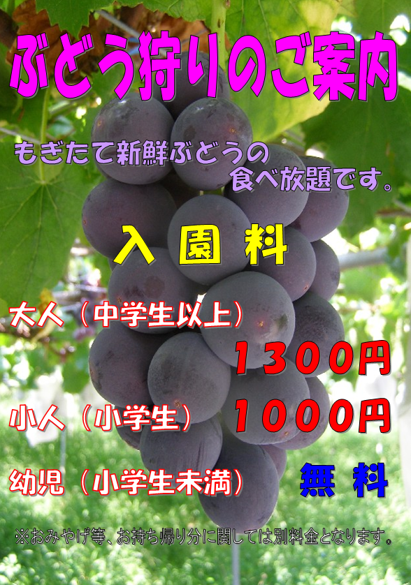 ぶどう狩りのご案内