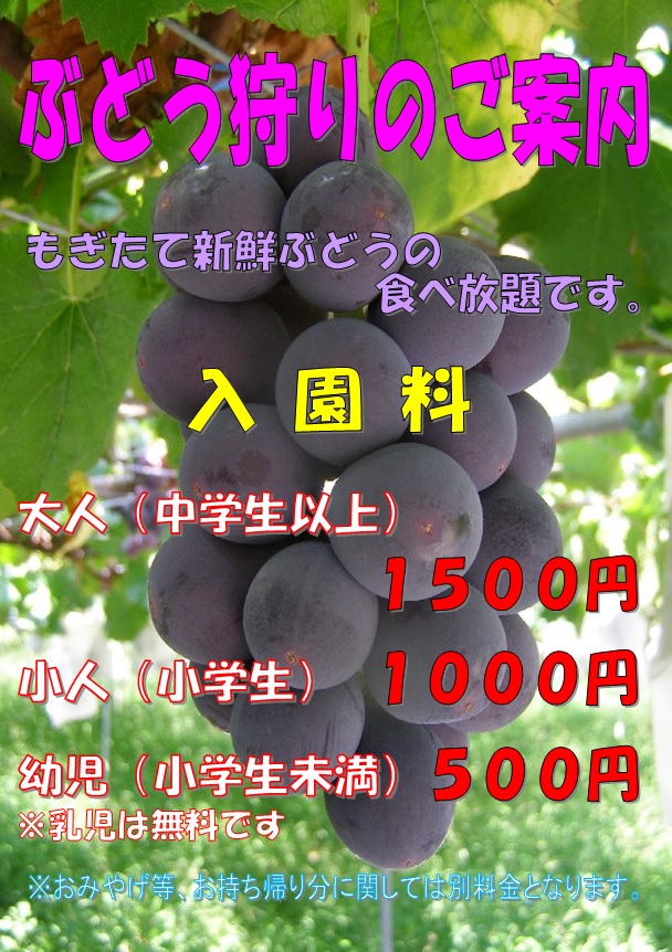 ぶどう狩り